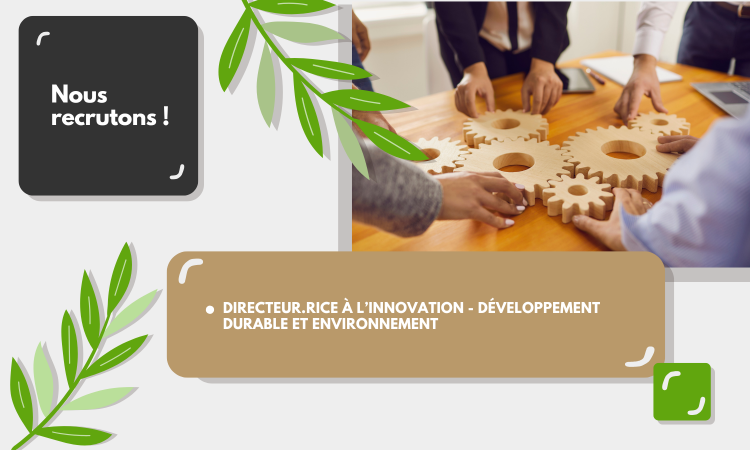 Offre d'emploi : Directeur.rice à l’innovation - Développement durable et environnement
