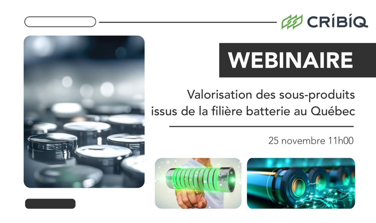 WEBINAIRE | Présentation de notre nouvel appel à projets : valorisation des sous-produits issus de la filière batterie