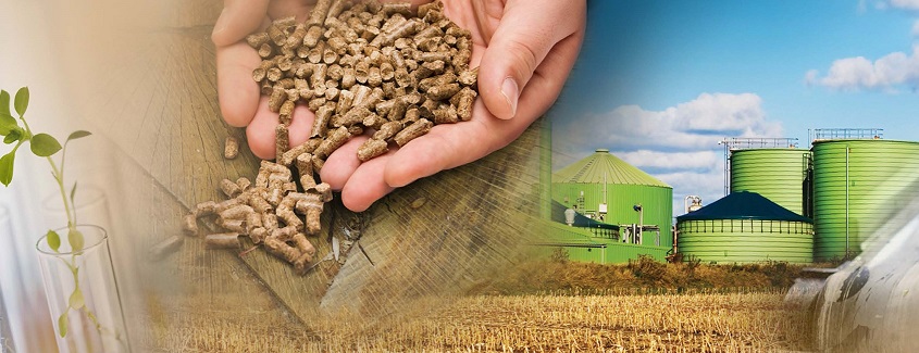 CRIBIQ_Bannieres2016_General_v5_1